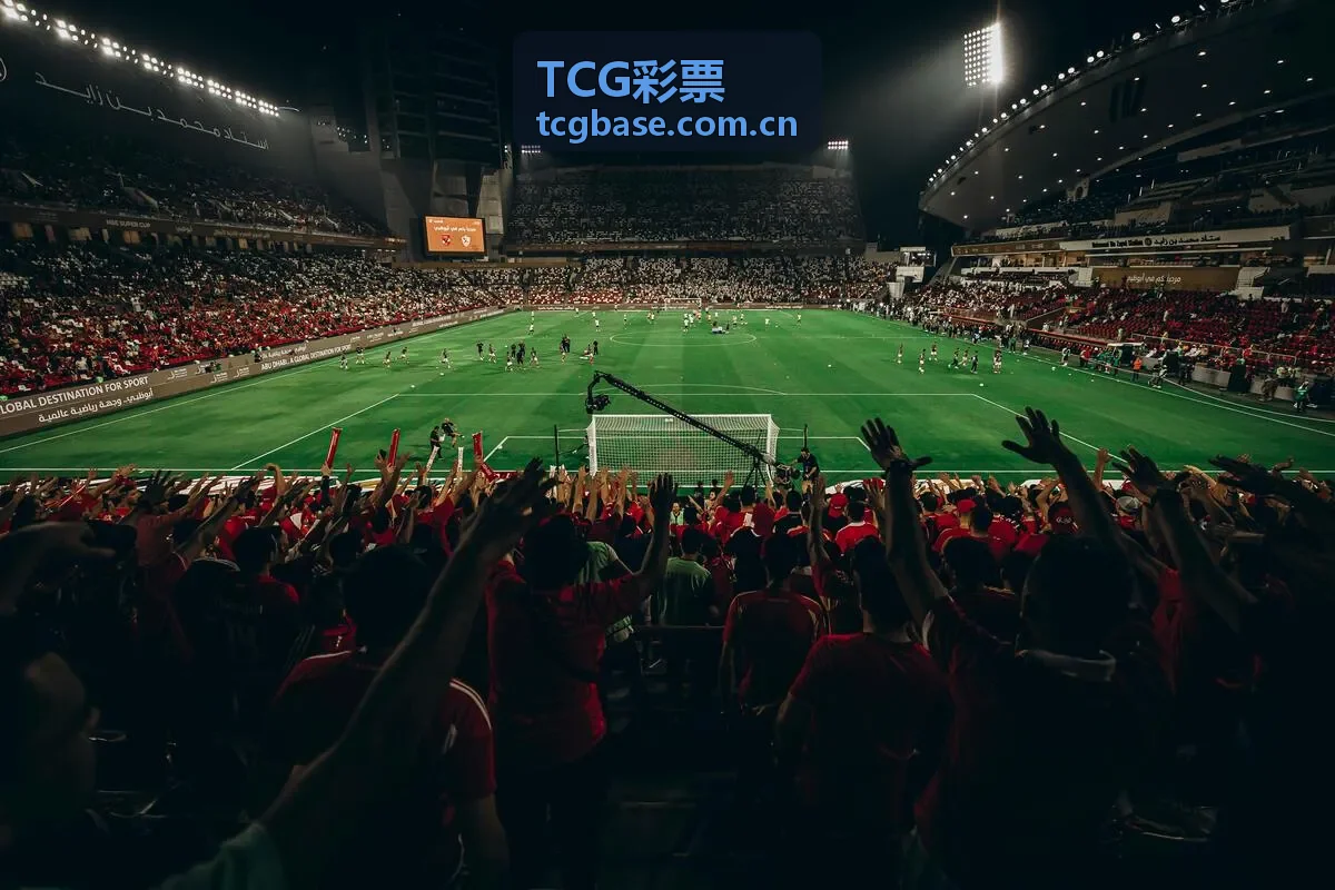 TCG彩票双色球玩法教程