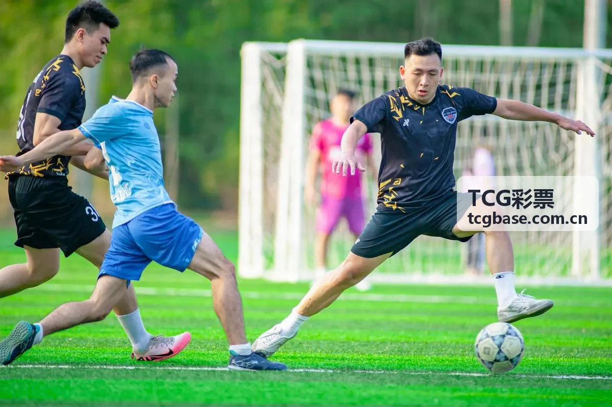 TCG彩票学习成果展示